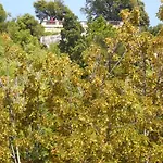 Vieux / Marche Aux Fleurs Apartman Nizza
