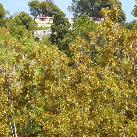 Vieux / Marche Aux Fleurs Apartmán Nice
